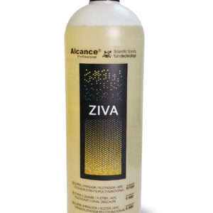 Ziva Apc Super Flotador Automotivo Pronto Uso 500ML Alcance
